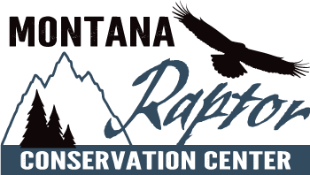 Montana Raptor Conservation Center